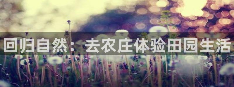 pg电子竞技游戏