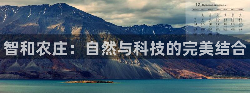 转出至PG电子什么意思