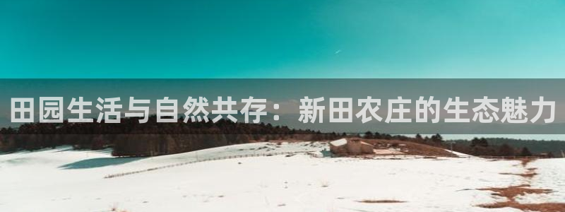 高爆率pg电子网址