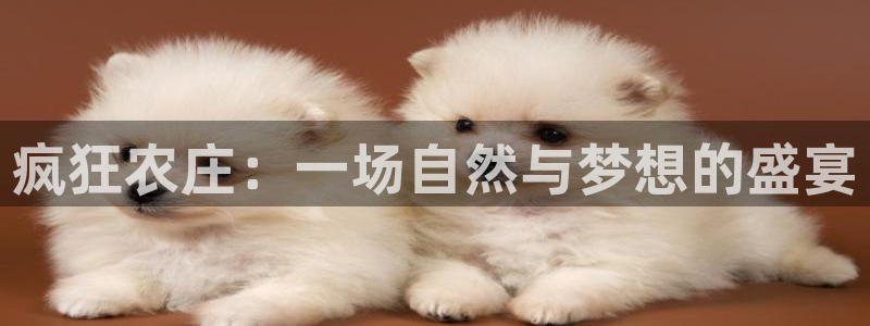 pg电子麻将胡了打法