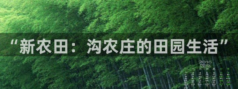 玩pG电子的软件