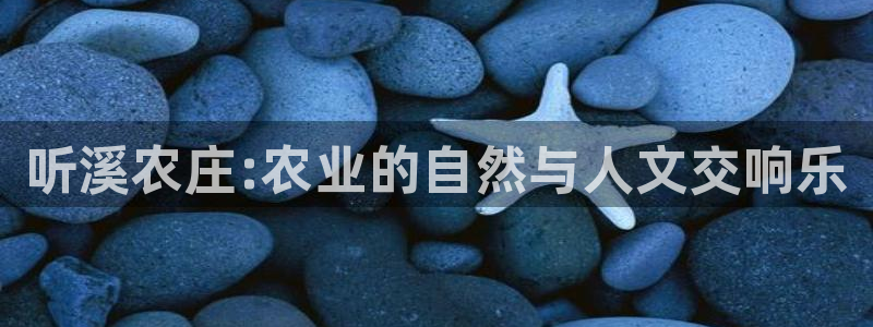 pg电子哪个平台好打