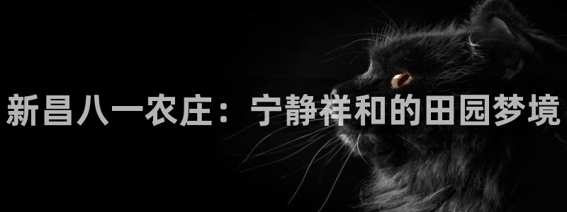 pg电子俱乐部是什么