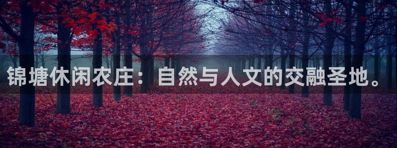 pg电子各大网站