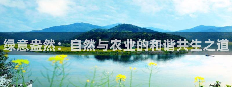 pg电子天天输怎么玩