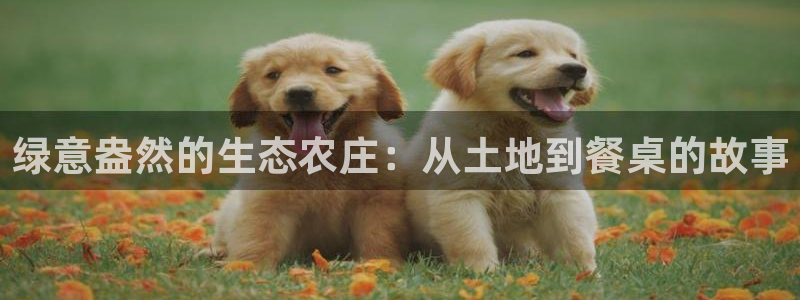 pg电子网站登陆