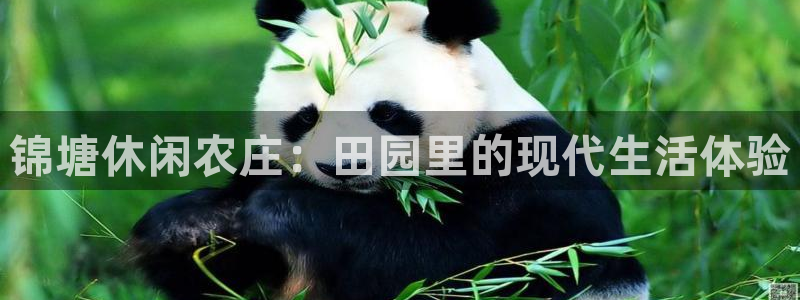 pg电子游艺哪个好