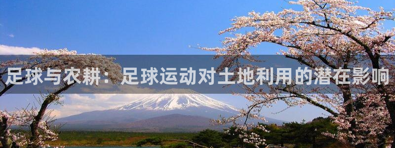 pg电子白天玩还是晚上