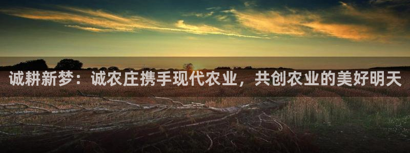 pg电子首页官方网站