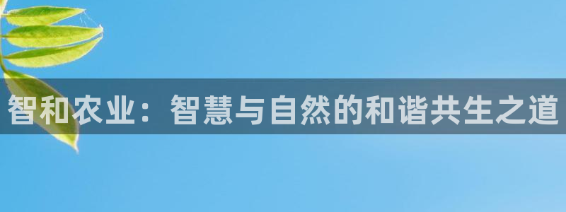麻将胡了pg电子网站