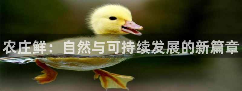 pg电子靠谱的平台