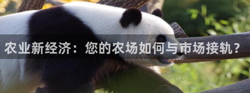 PG电子麻将胡了不爆分