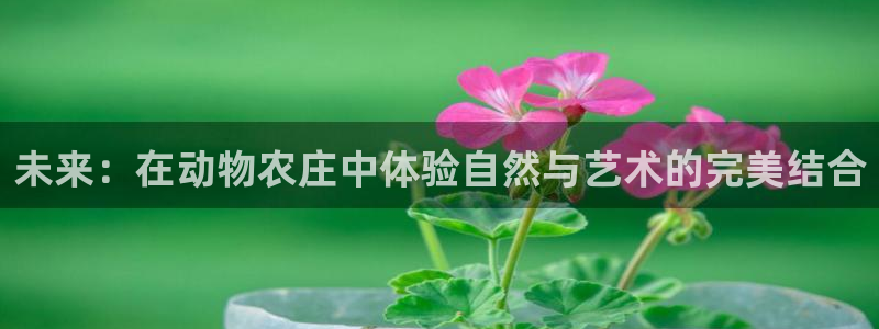 pg电子什么游戏好打