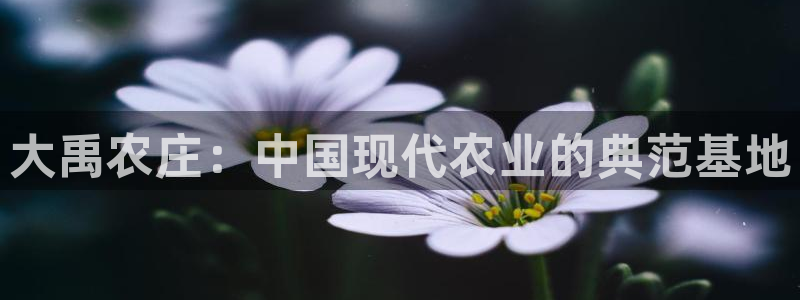 亚洲十大电子pg平台