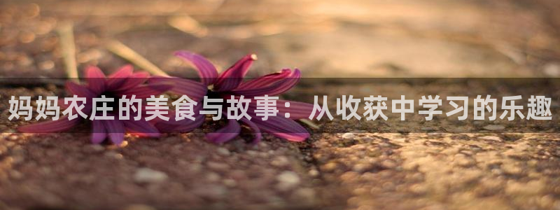 电子PG游戏解说