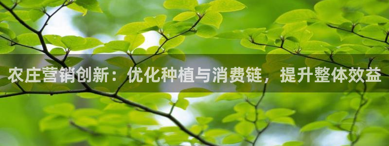 pg电子软件下载