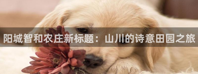 pg电子游戏哪里玩好爆