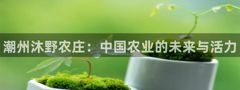 pg电子麻将胡了满屏胡