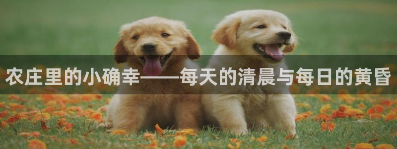 电子pg游戏怎么玩