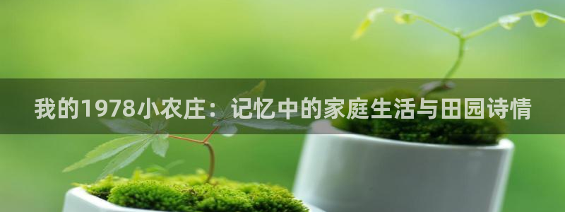 象财神PG电子
