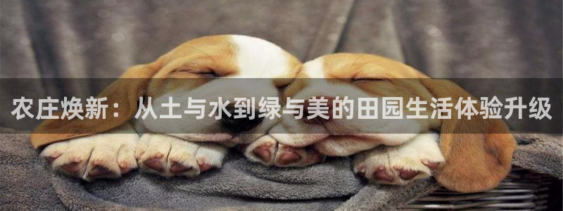 靠谱pg电子平台