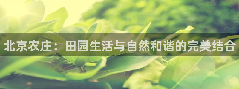 pg电子寻龙探怎么吃分