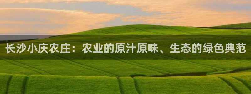 pg电子少林足球攻略