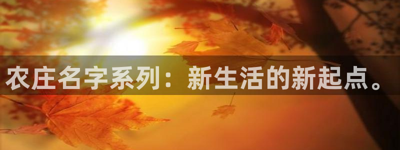 PG电子赏金女王玩法